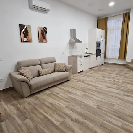 Miguelon Estudio Apartment *