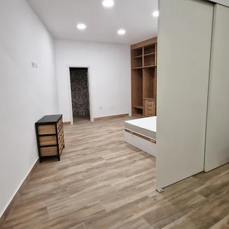 Apartment Miguelon Estudio *